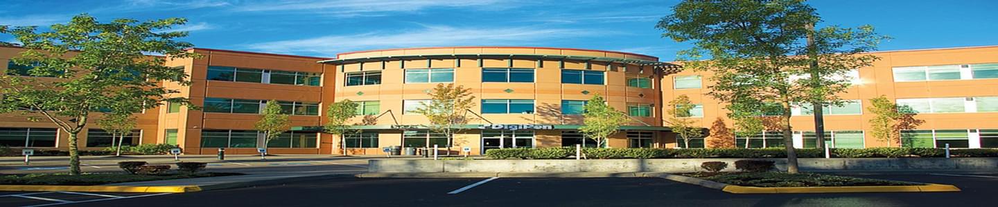 DigiPen Institute of Technology banner
